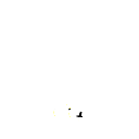 cc567